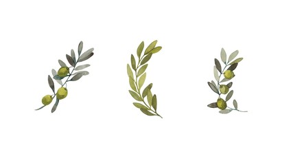 Watercolor set of olive branches with fruits. Hand-drawn with watercolor paints. Suitable for all types of design.