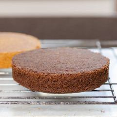 Chocolate Vanilla Sponge Cake for Birthday Cake