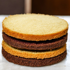Chocolate Vanilla Sponge Cake for Birthday Cake, square
