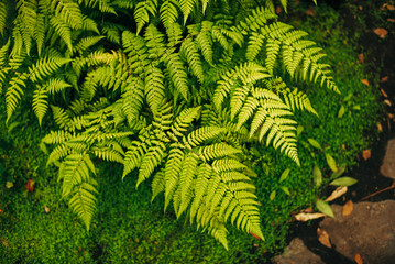 Botanischer Garten und Tropenhäuser in Hamburg