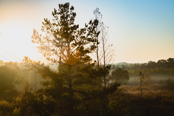 sunrise over a beautiful field