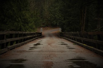 Obraz premium bridge in the forest