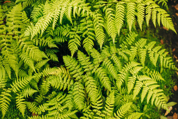 Botanischer Garten und Tropenhäuser in Hamburg