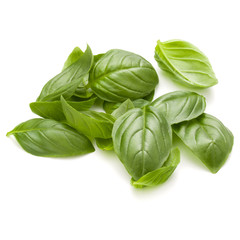 Sweet basil herb leaves handful isolated on white background closeup
