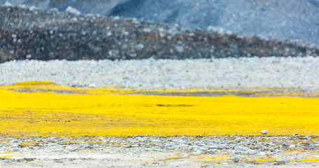 Svalbard Islands, Artic Ocean, Norway, Europe