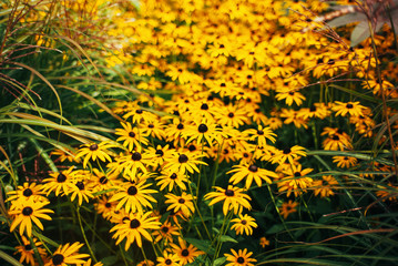 Botanischer Garten und Tropenhäuser in Hamburg