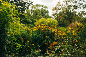 Botanischer Garten und Tropenhäuser in Hamburg