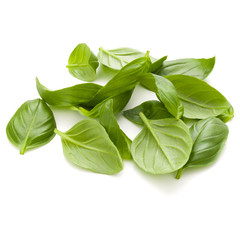 Sweet basil herb leaves handful isolated on white background closeup