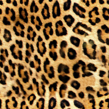 Leopard skin print pattern colored design 