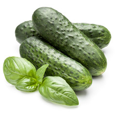 Cucumber vegetable and basil leaves isolated on white background cutout