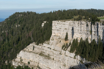 Fototapeta premium The 