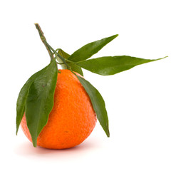 Ripe tasty tangerine