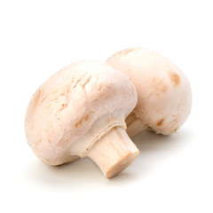 Champignon mushroom