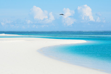 Tranquil view of the perfect white sand Maldivian beach and Indian ocean in clear sunny day