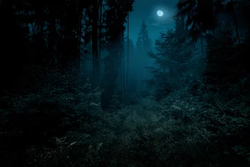 Light filtering roller blinds Road in forest Full moon over the spruce trees of magic mystery night forest. Halloween backdrop.