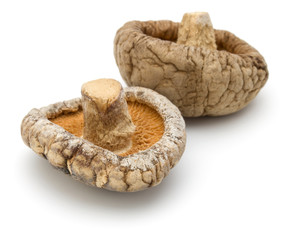 Dried Shiitake Mushroom isolated on white background