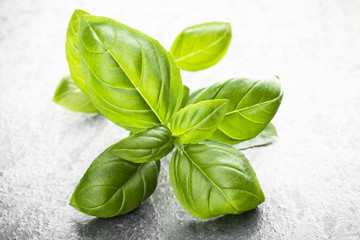 Sweet basil leaves over black stone background. Top view.