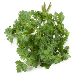parsley leaves bunch isolated on white background cutout