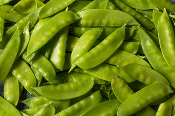 Raw Green Organic Snow Peas