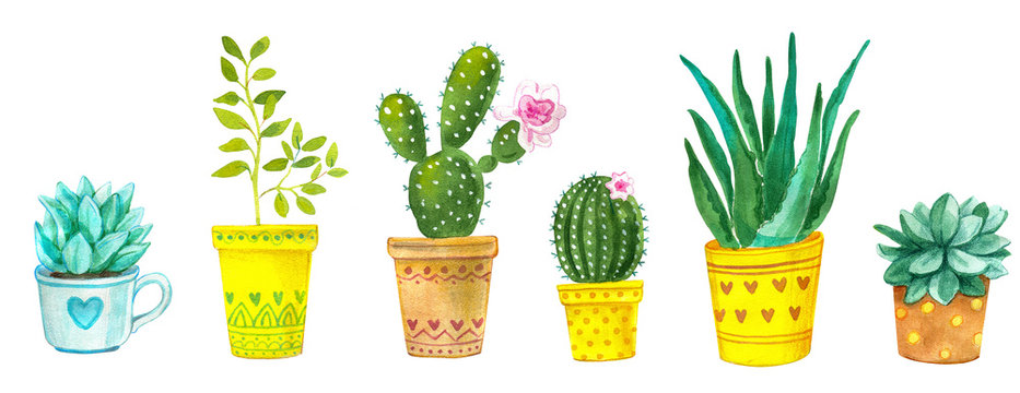 "Cactus Print" Bilder – Durchsuchen 271 Archivfotos, Vektorgrafiken und ...