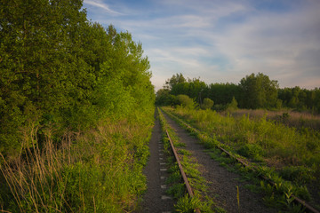 Fototapeta na wymiar Grassy track forgotten railway among green trees perspective leading lines