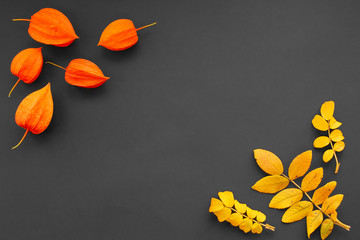 Orange physalis and rosehip leaves on a dark background