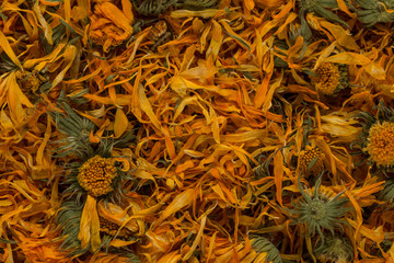 Calendula flowewr tea