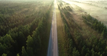 Foggy Forest Road. Car Riding Under Mist. Beautiful nature during sunrise. Highway, transportation, outdoor, road trip.