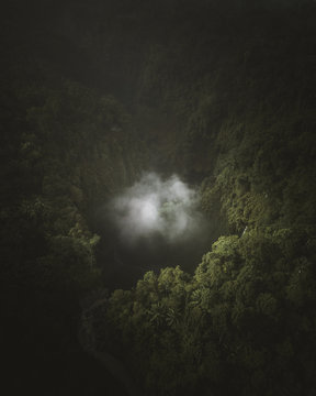 Mountain covered with green tree during daytime