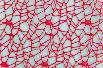 red mesh background on a white background