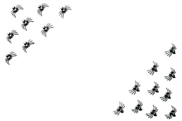 Black spiders on a white background. Halloween celebration background.