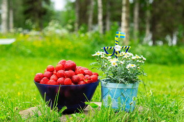 Midsummerpole and a bowl of strawberries