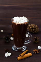cup of hot chocolate with mini marshmallow with star anise and cinnamon on wooden background