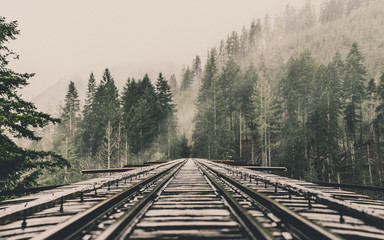 Railway between trees