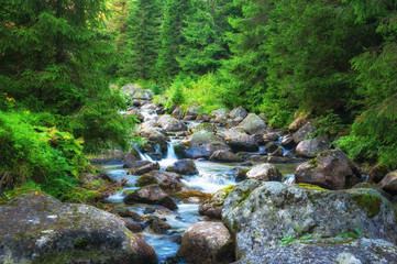 Naklejka na ściany i meble Mountain stream in High Tatras National Park, Slovakia.
