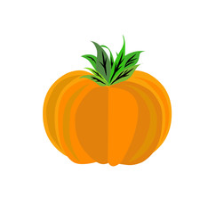 illustration of pumpkin