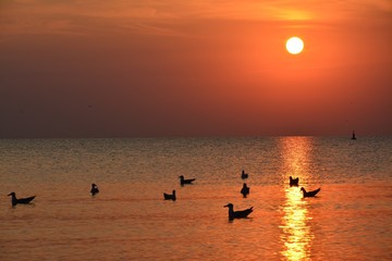 sunrise on the sea beach
