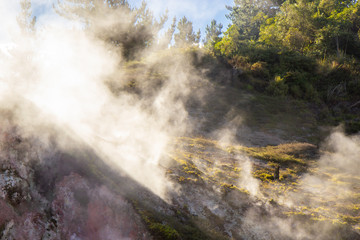 Fototapeta na wymiar scenic view of Wairakei Thermal Valley, New Zealand
