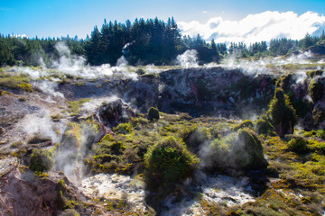 scenic view of Wairakei Thermal Valley, New Zealand