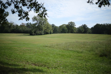 Wide Open Spaces