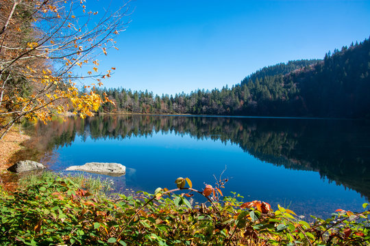 Feldsee beim Feldberg im S&uuml;dschwarzwald / Deutschland