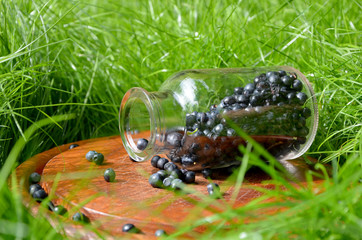  jar of blueberries on the grass