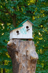 Wooden birdhouse on tree. Wooden birdhouse on the tree in public park, close up 