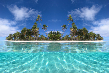 HALF UNDERWATER: Picturesque view of a tropical sandy beach and turquoise ocean. © helivideo