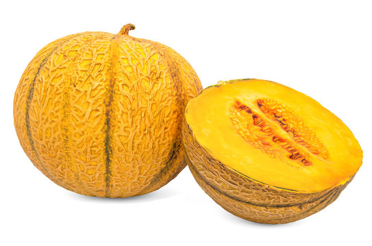 Charentais melon 3d rendering with realistic texture