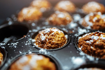 Fresh momemade muffins in baking pan with shallow depth of focus. 