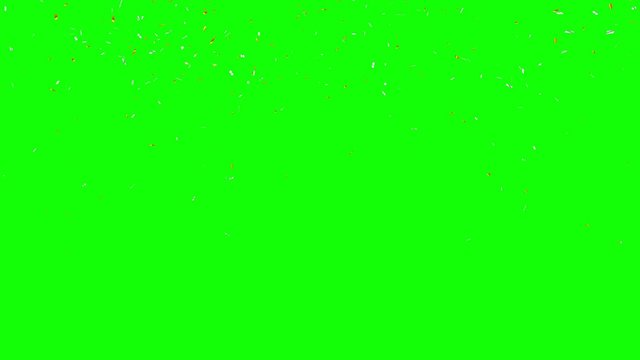 Gold and silver confetti explosion on green screen. Holiday or party background.