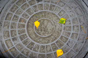 sewer manhole with yellow autumn leaves manhole cover top view.