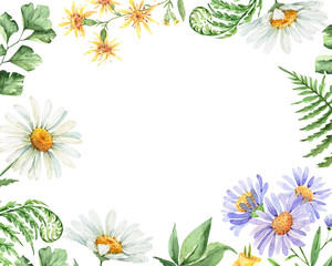 chamomile flowers and green fern leaves. frame watercolor illustration