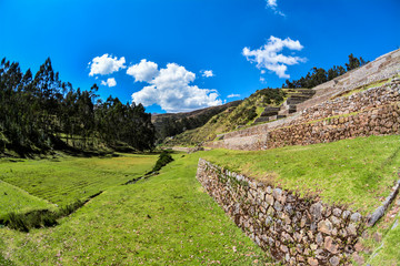 Fototapeta na wymiar Green field in Chincheros, Peru